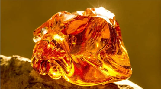 Amber: The Golden Treasure