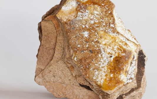 Ambergris: The Ocean's Golden Treasure