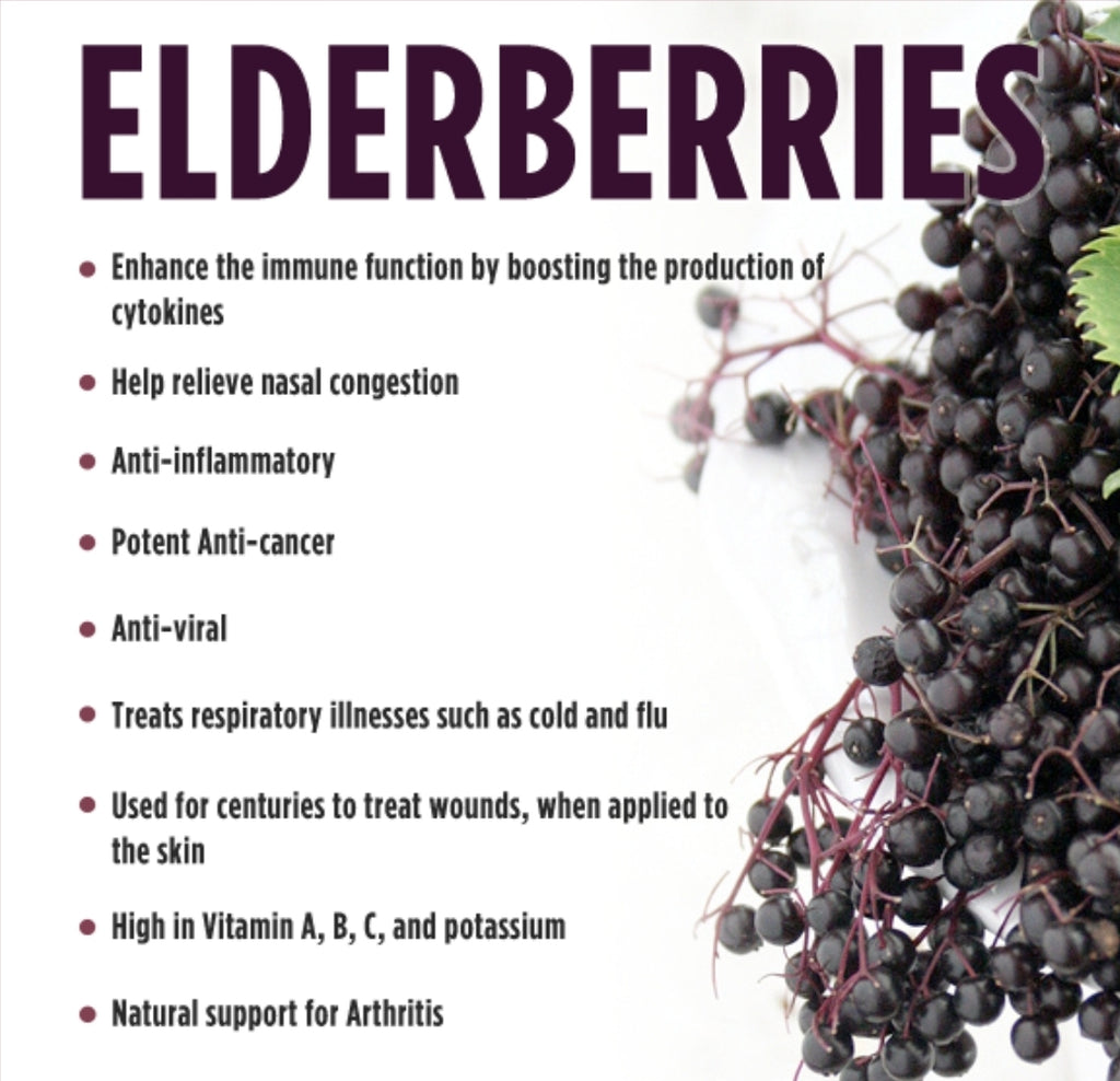 5 Reasons Why You Should Be Drinking Elderberry Tea