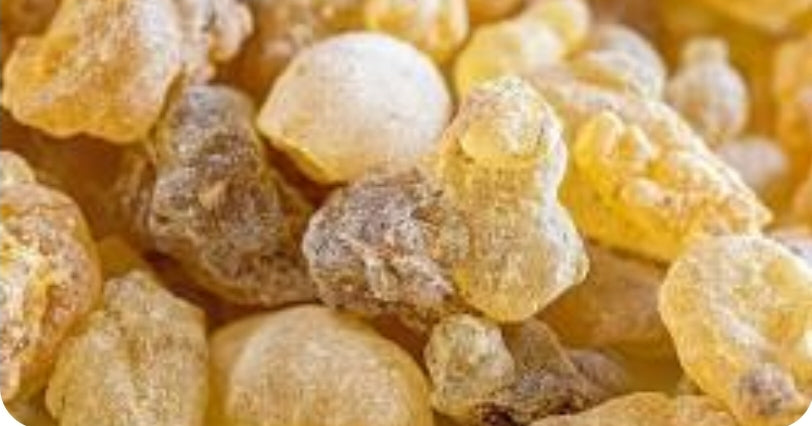 Frankincense: The King of Oils