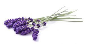 Top 5 Essential Oils for PCOS