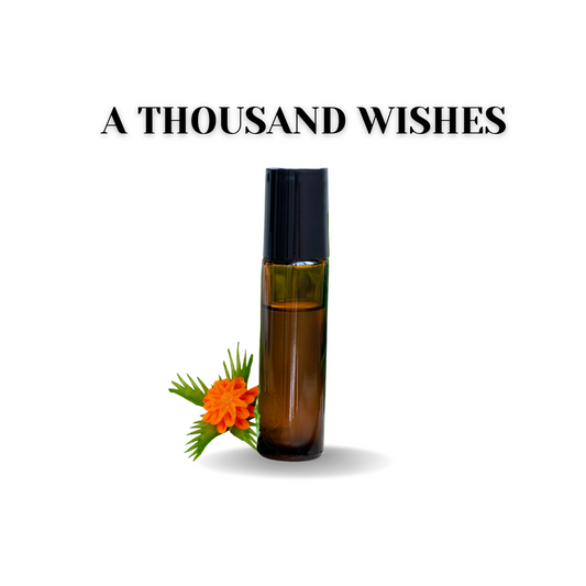 One Thousand Wishes (w)